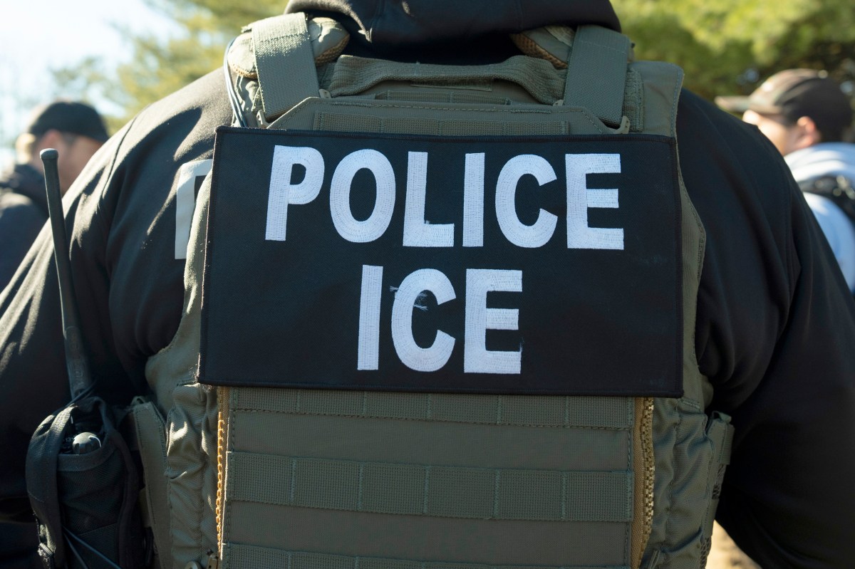 Man in US for 20 years detained by ICE after overstaying visa - Newsweek