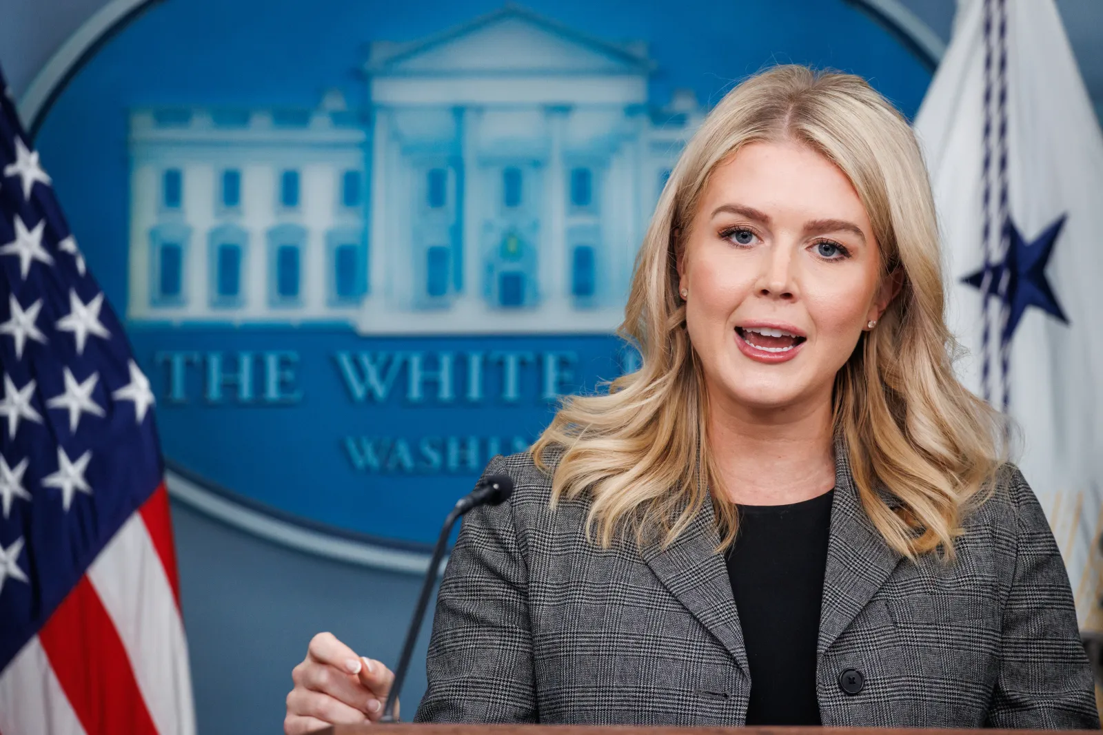 White House Speaks Out After Woman Set on Fire on Chicago Subway