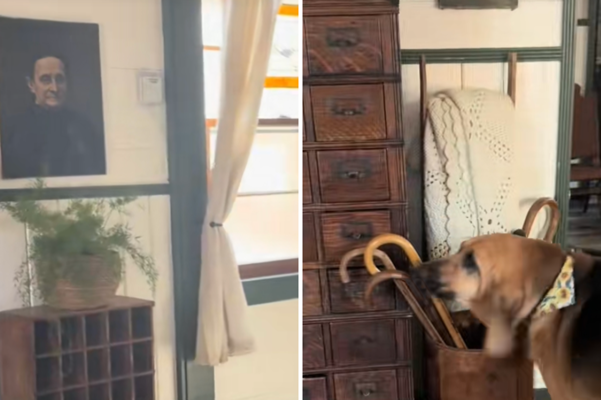 Woman Brings Home 100-Year-Old Oil Painting, Unprepared for Dog’s Reaction