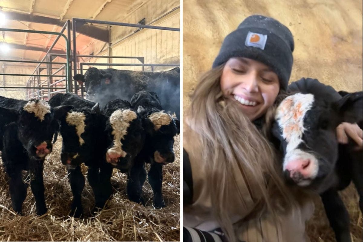 Farmer Goes To Check on Animals, Discovers '1-in-179-Million Miracle' Birth