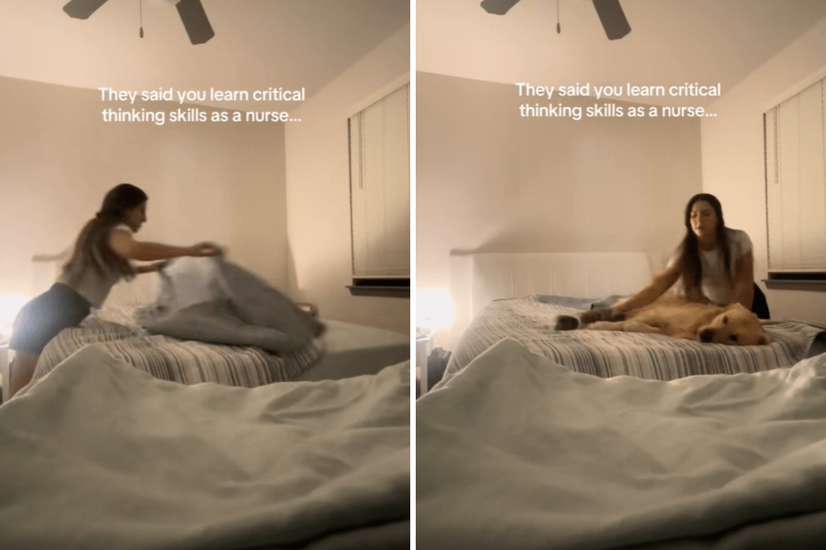 Retriever Won’t Get Off Owner’s Bed in Morning, Hysterics at How She Adapts