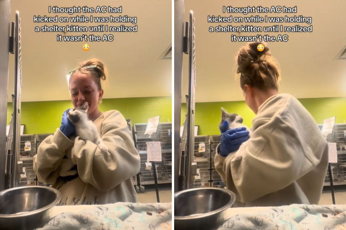 Woman Thinks AC Has Been Turned On in Shelter, Then She Turns Around