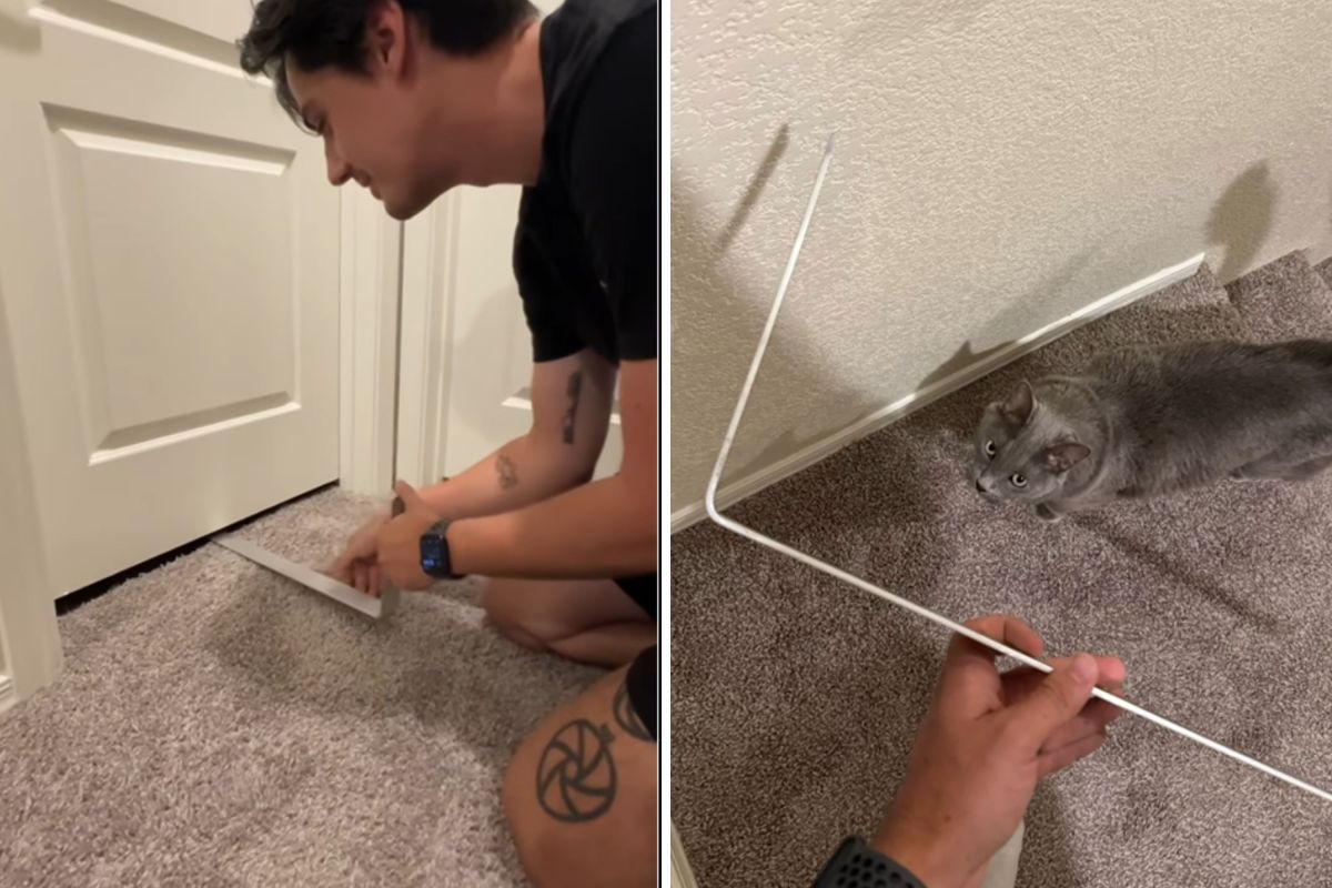 Cat locks himself in bathroom -- Owner puts cam under door to see what he did