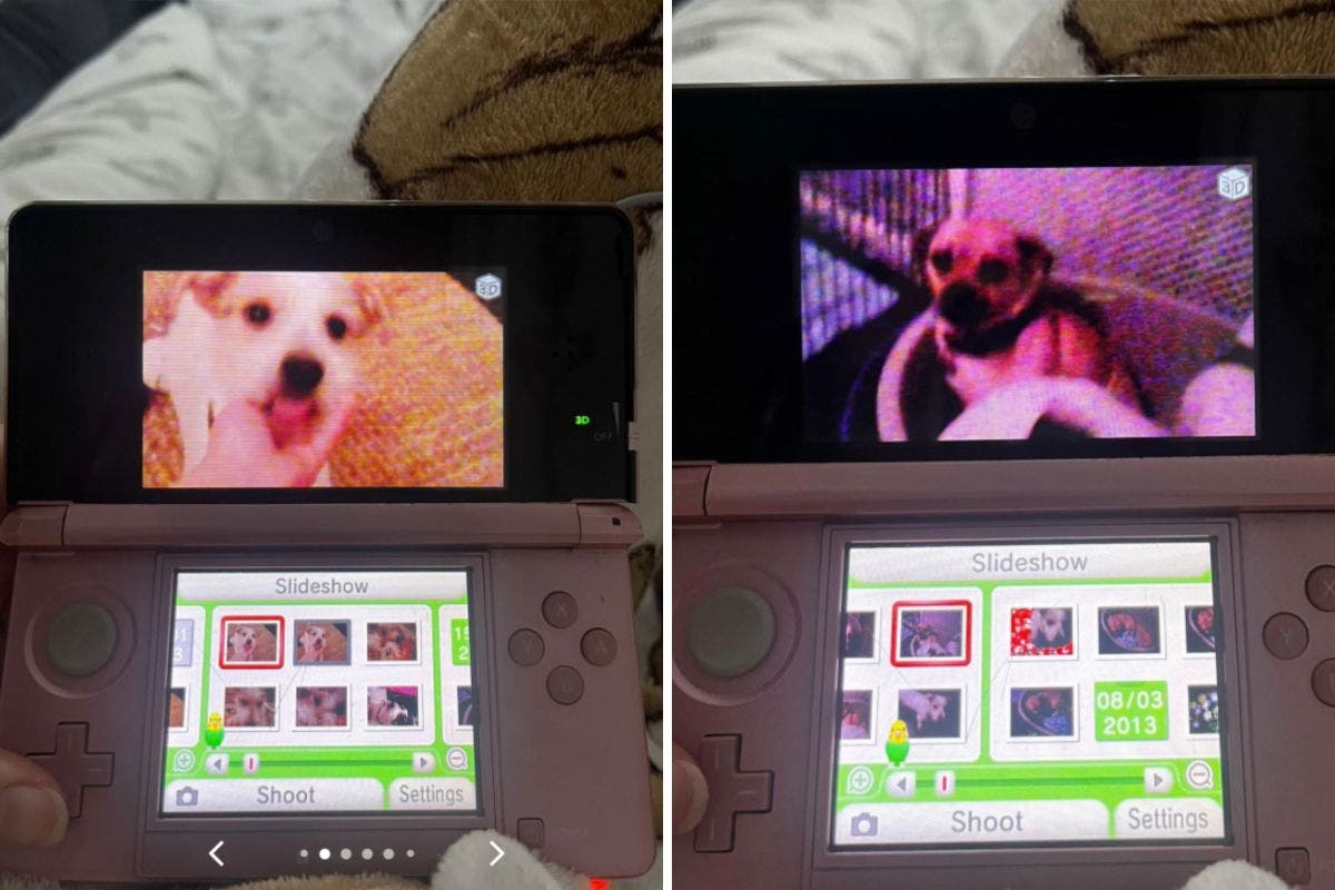 Woman Turns on Old Nintendo DS, Finds Heartbreaking Childhood Photos