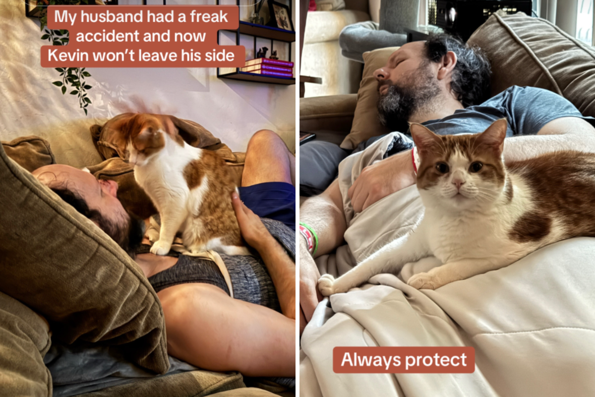 As Owner Heals From 'Freak Accident,' Couple’s 'Most Anxious' Cat Steps Up