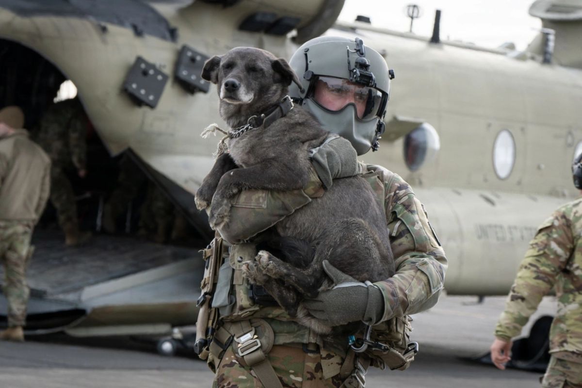 Navigating Crisis: The Historic Evacuations in Alaska Following Typhoon Halong