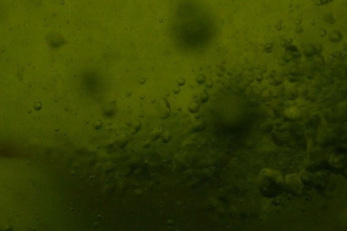 Centuries-Old Mystery of Will-o’-the-Wisps Cracked, Say Scientists