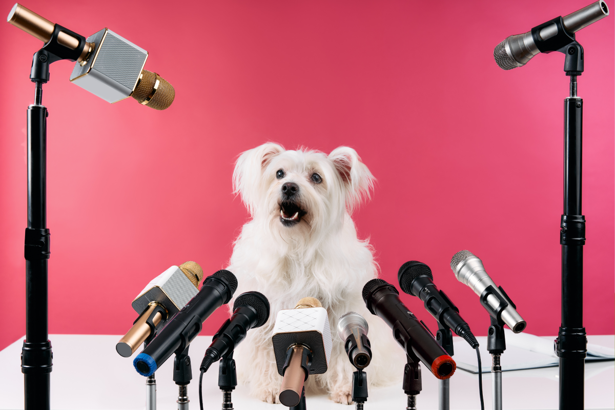Scientists Wanted To Know if Dogs Could One Day Talk—Here’s What They Found
