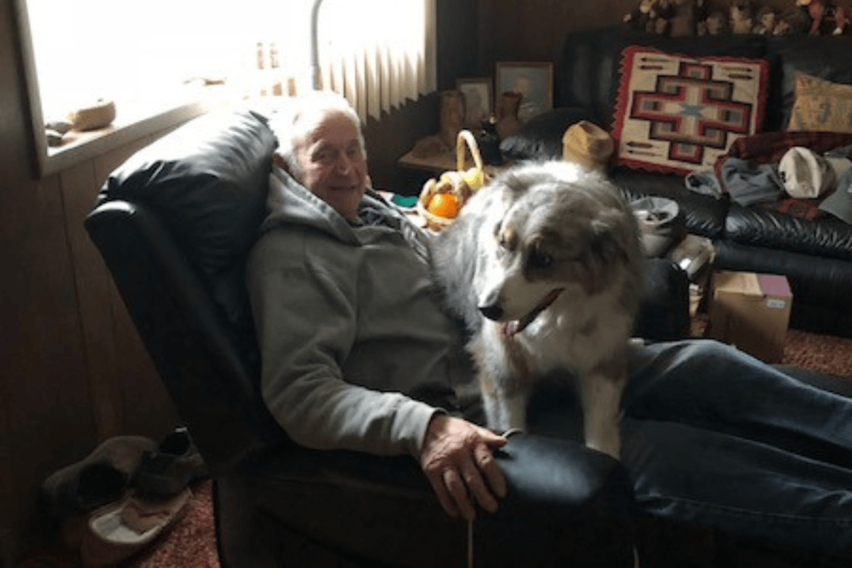Hearts Break As Dog Grieving Loss of Owner Is Found Tied to Tree - Newsweek