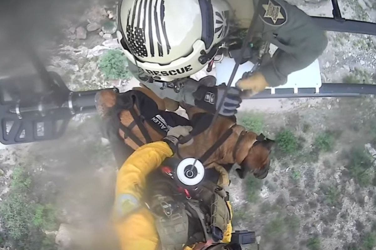 Dog Seriously Injured Falling Down Arizona Canyon, Then Helicopter Arrives