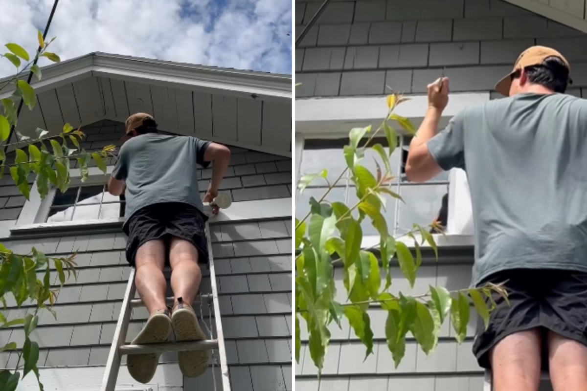 Family Buy House in 2020—Then Realize What’s Been Above Them the Whole Time
