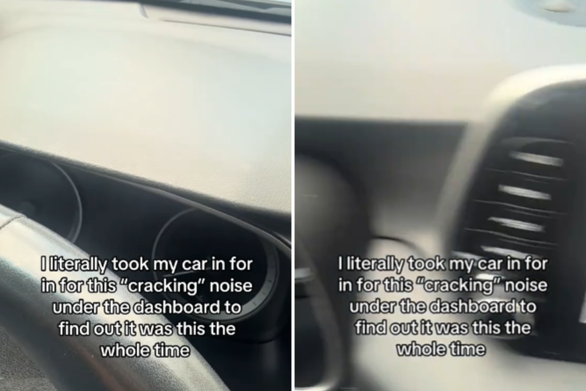 ‘Cracking’ Sound in Woman’s Car Stumps Mechanics—Then She Discovers Truth