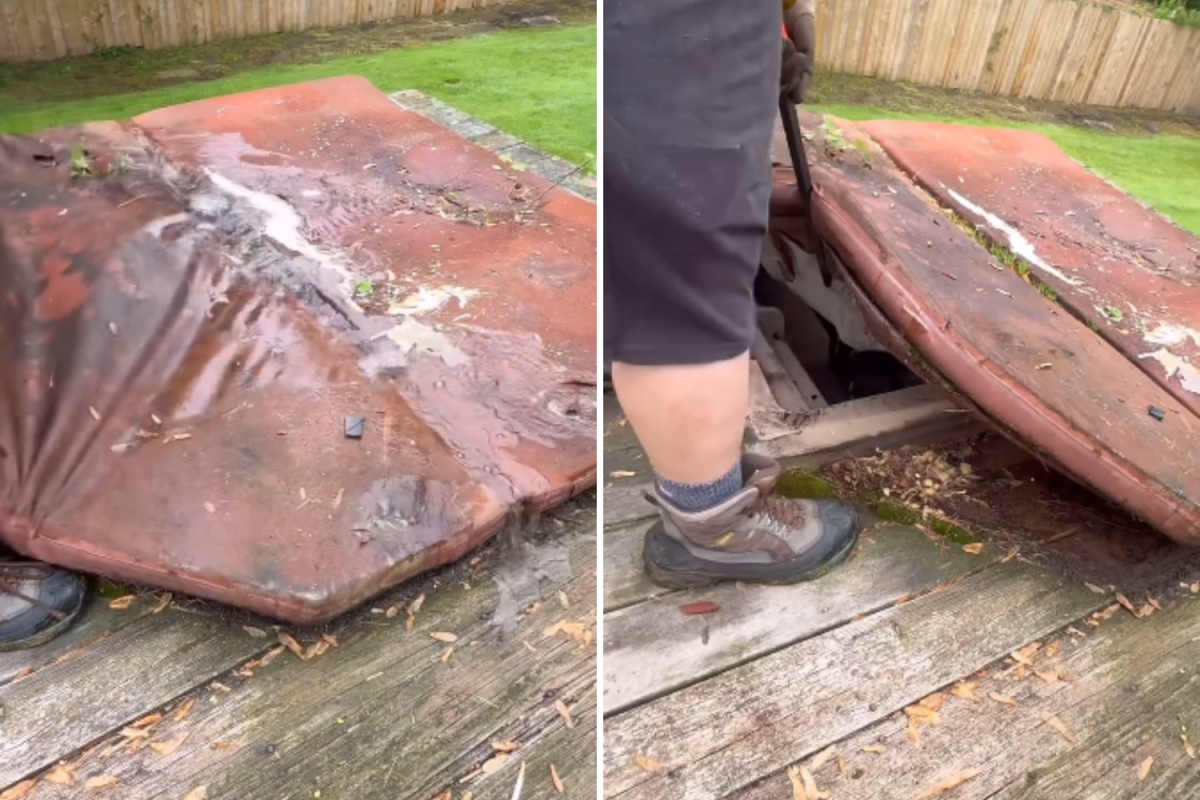 Couple Buy Home With Hot Tub Untouched Since the 1970s—Decide To Open It
