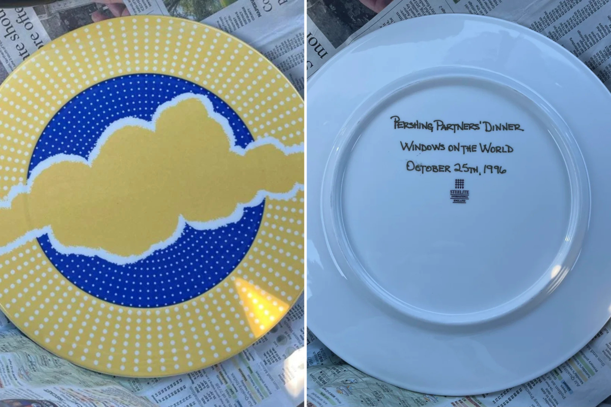 Thrifter Spends $3 on Plate—Can’t Believe Its Link to Twin Towers