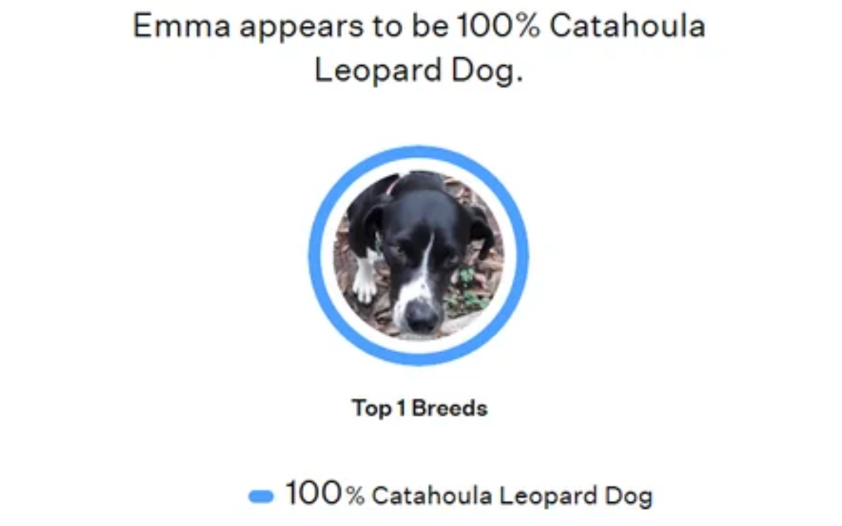 Resultados do teste de DNA de Emma.