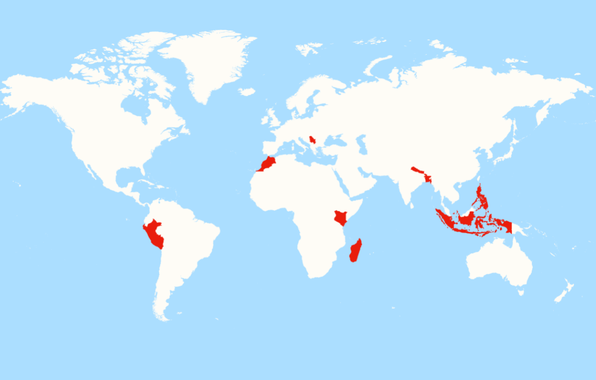 Map Shows Where Gen Z Is Protesting Around the World