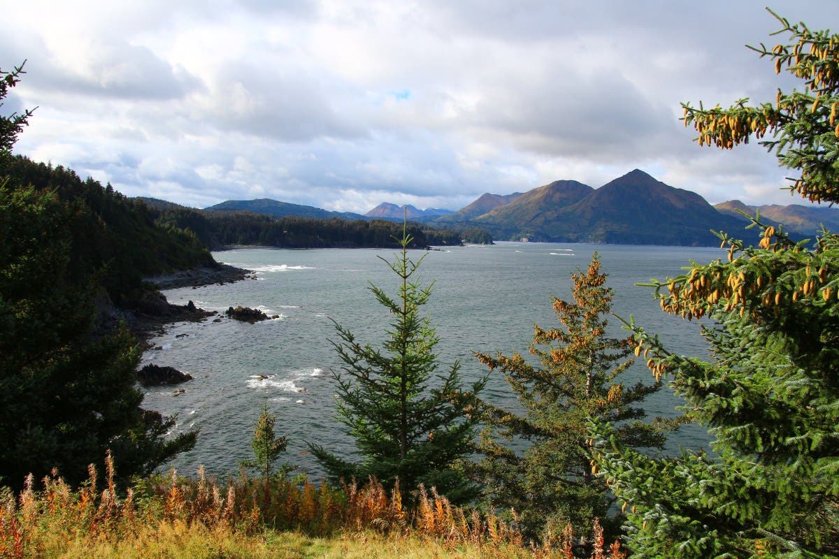 Canada's North Vancouver Island, Haida Gwaii Brace for 90km/h Wind Warnings Tuesday