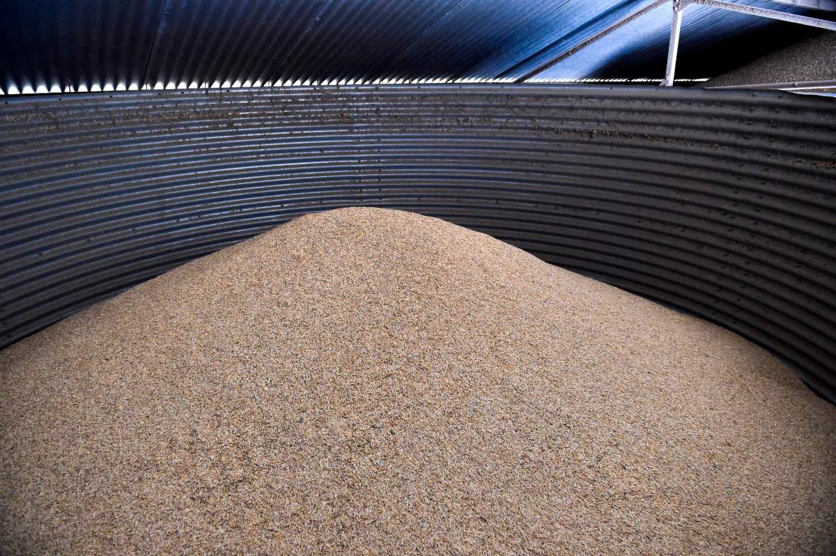 European Nation To Start Stockpiling Food