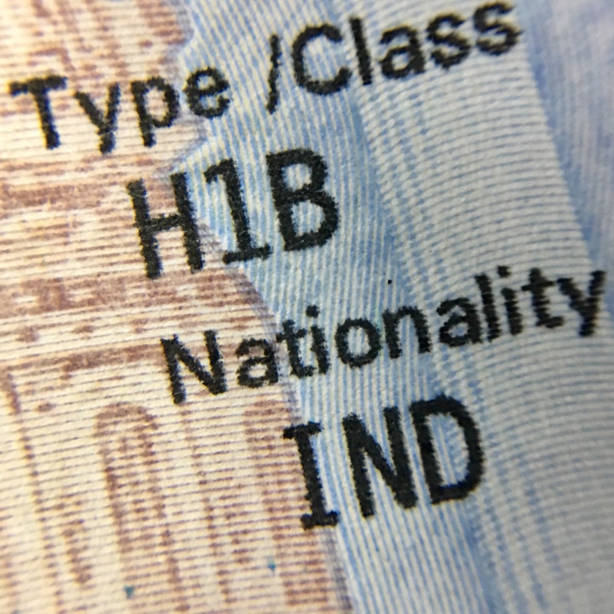 H-1B Visa Filings Are Surging in Texas