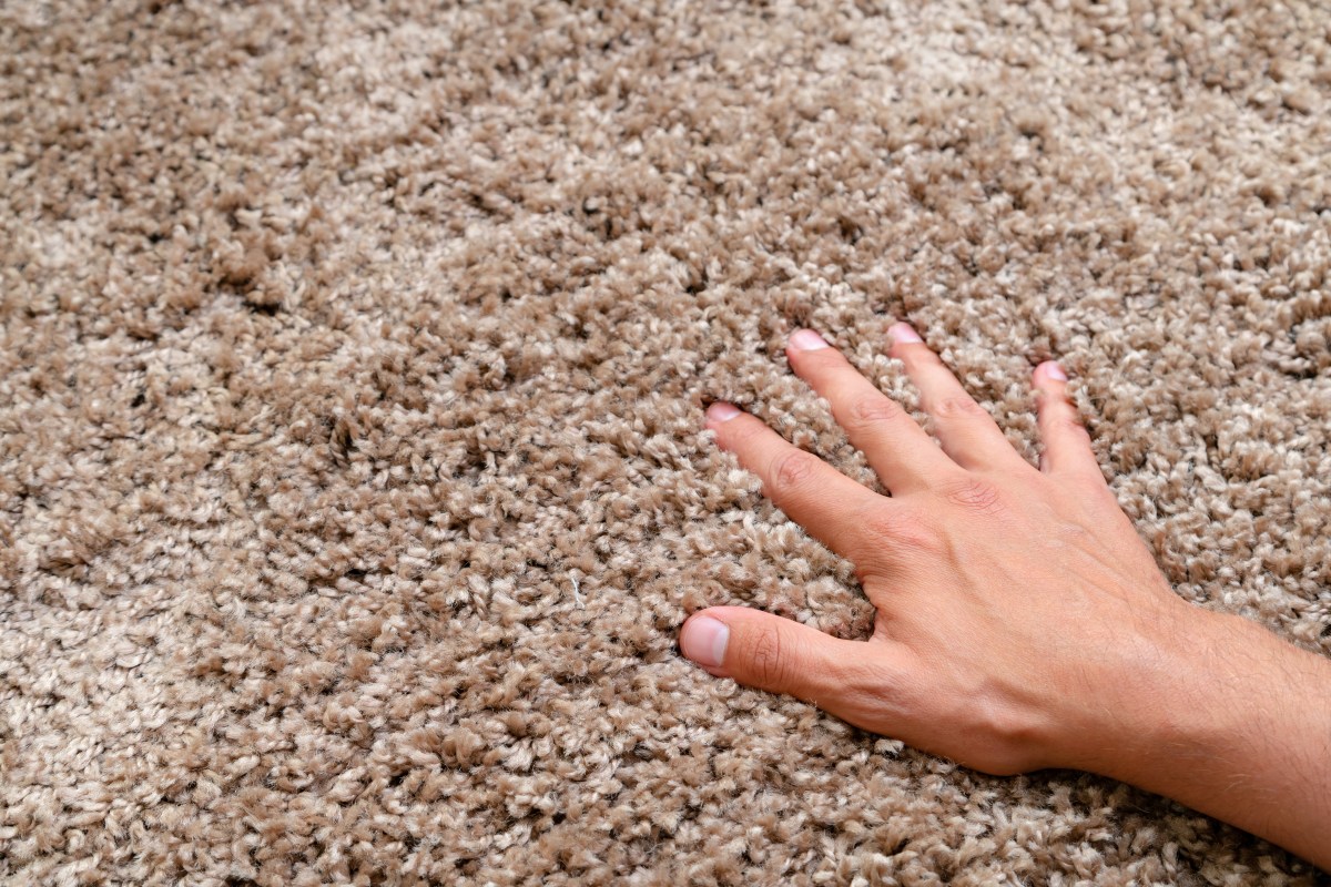 Woman Returns From Holiday—Finds Mysterious Paws Waiting in Bathroom