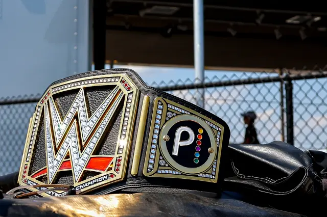 Custom WWE Championship