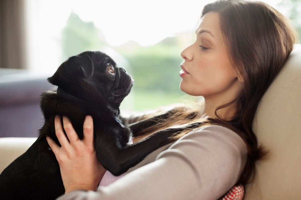 What Talking to Your Dog in Baby Voice Actually Does to Their Brain