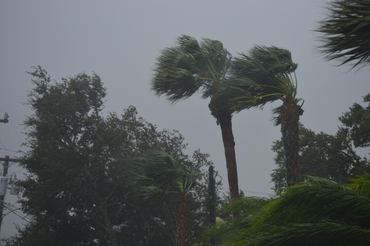 Tropical Storm Melissa Live Tracker Shows If Storm Will Hit Florida