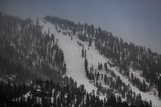 Winter storm warnings as 11 inches of snow to strike - Newsweek