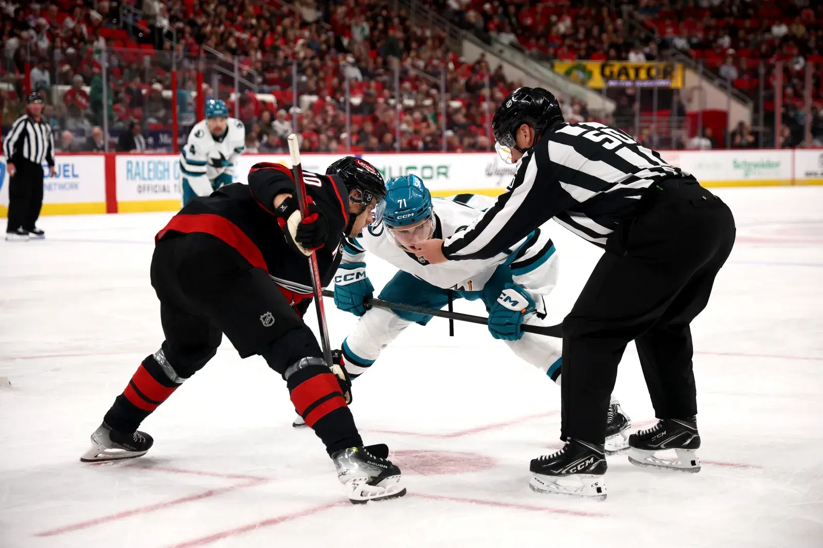 Hurricanes vs Sharks