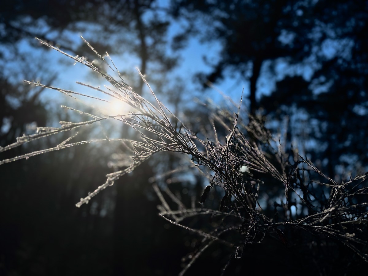 Warning Issued as Freezing Temperatures Hit Texas