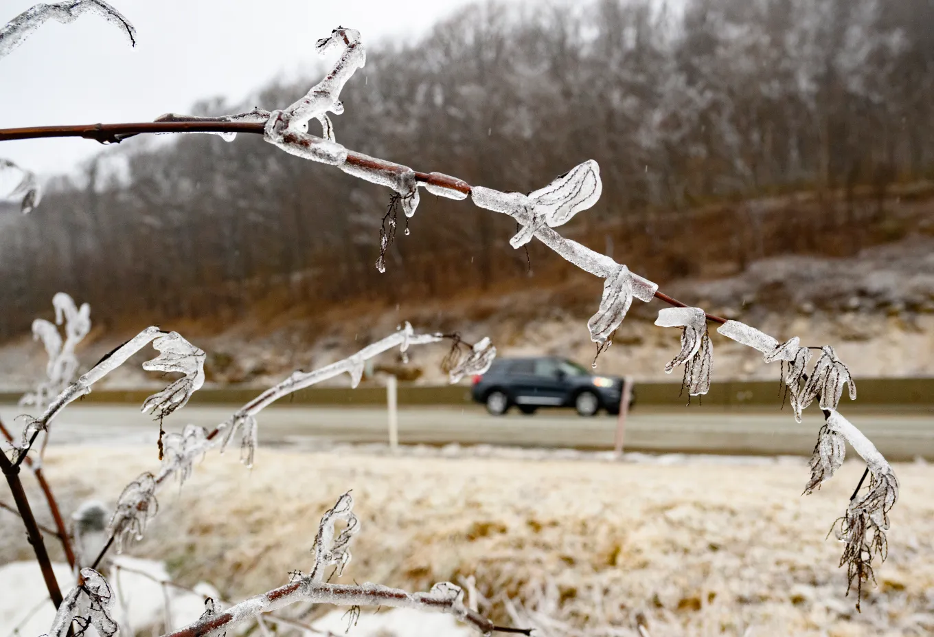 Map Shows 6 States Under Warning as Temperatures May Drop Below ...