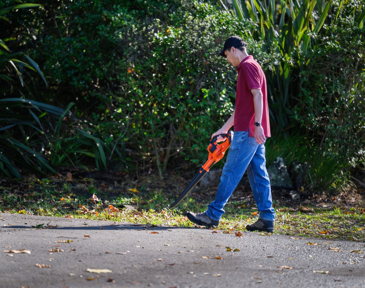 Man Cleans Yard—What He Wakes Up To the Next Morning Shocks Internet