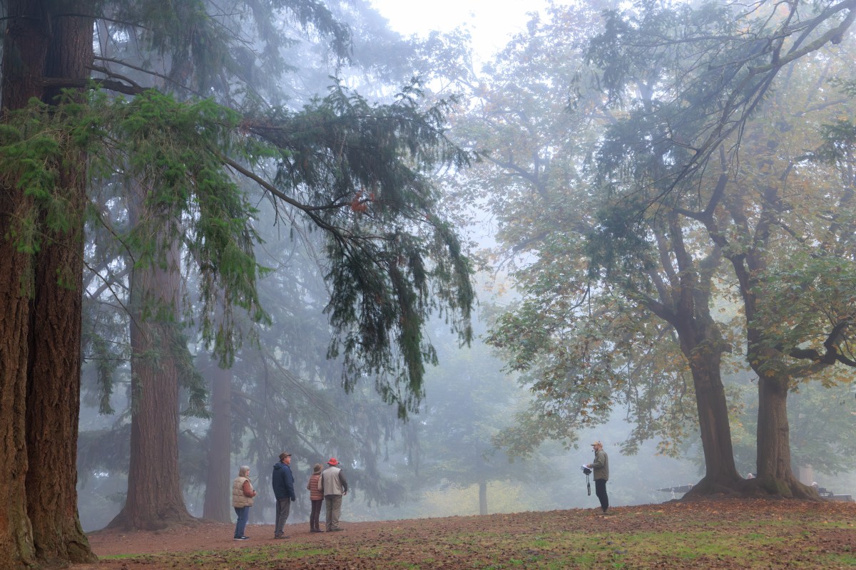 Portland Voters To Decide on Property Tax Rise