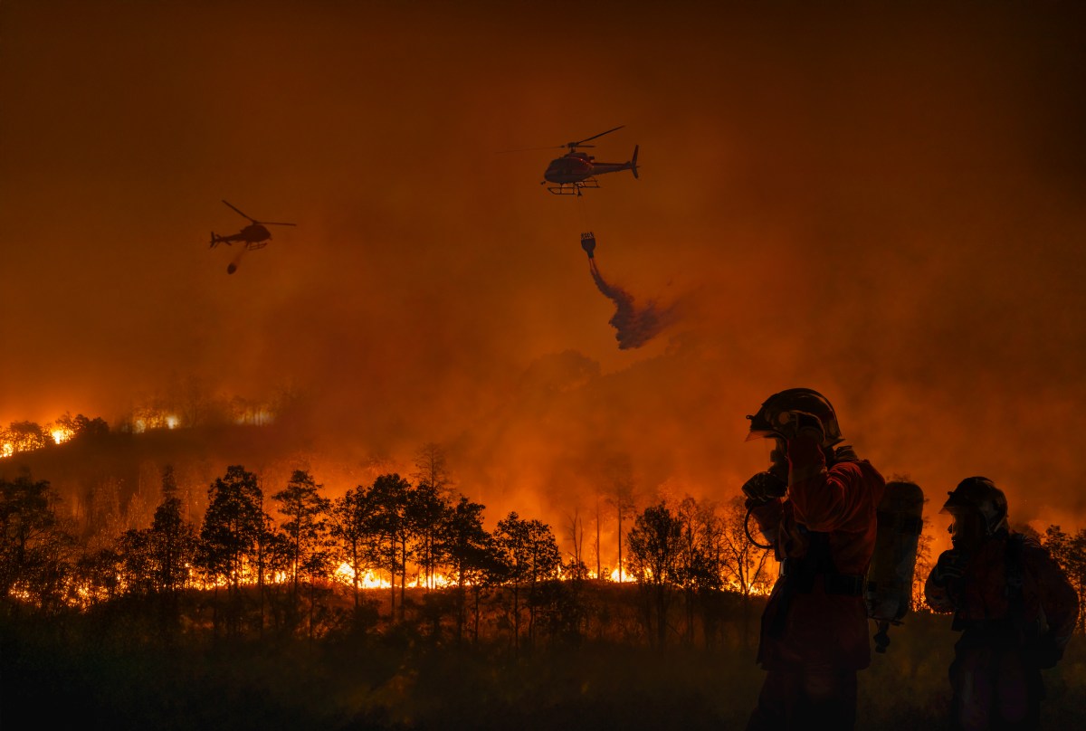 Earth's Vital Signs Are Getting Worse, Major Report Warns