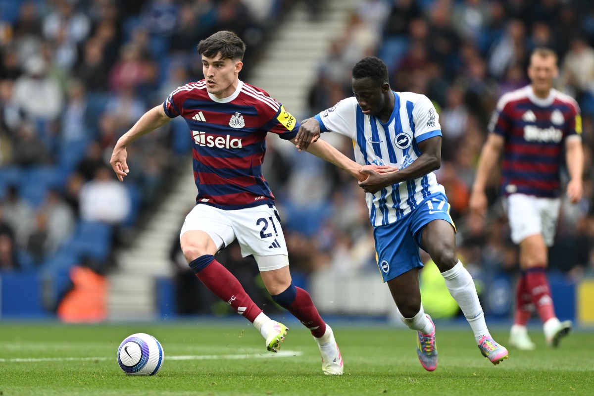 How to Watch Brighton vs Newcastle United: Live Stream Premier League, TV Channel