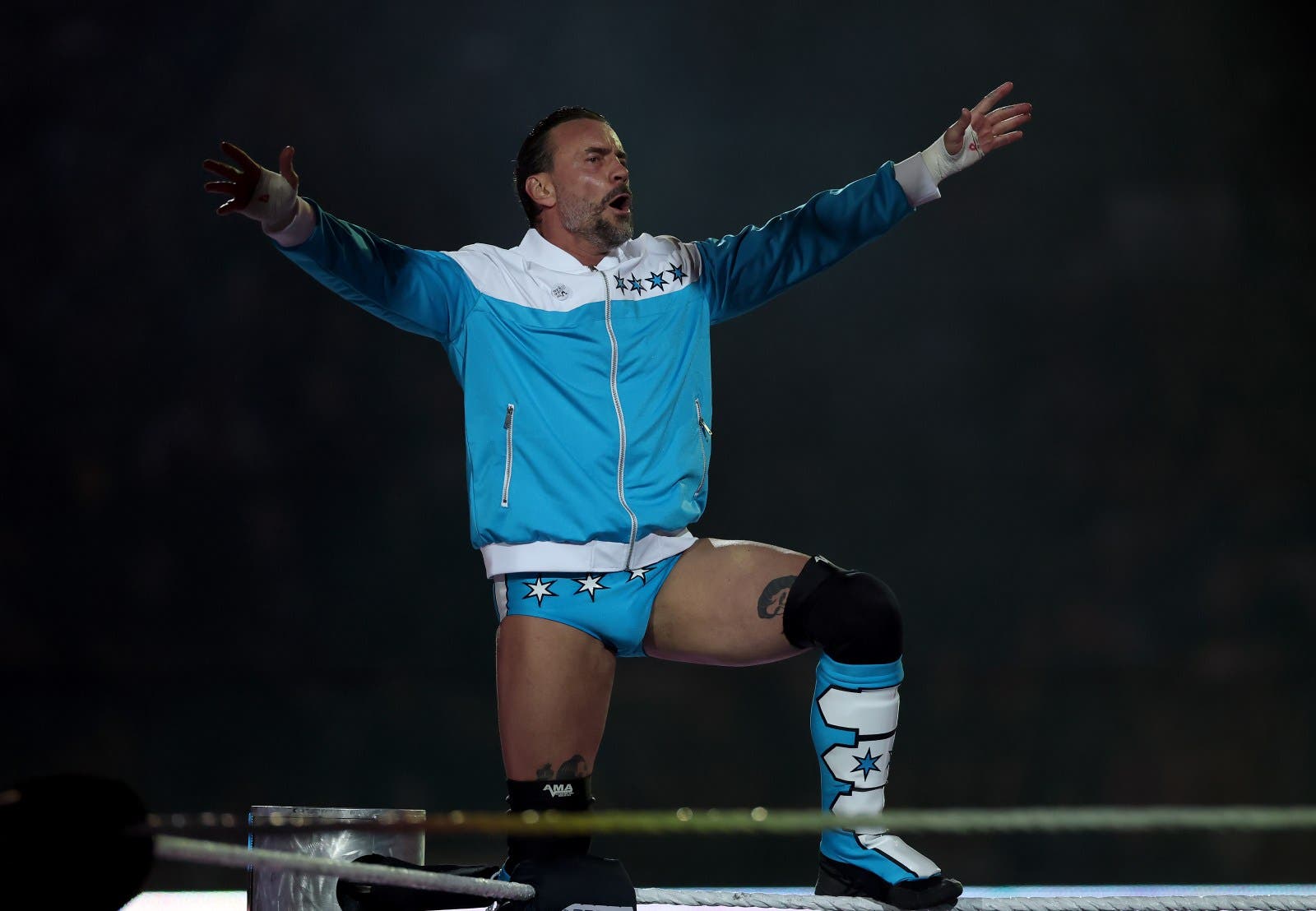 wwe superstar cm punk poses