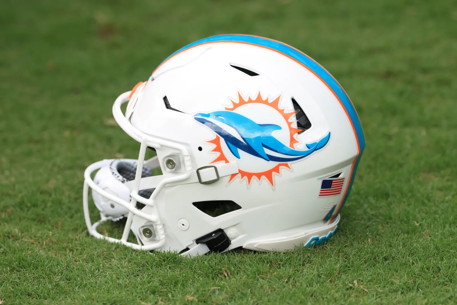 Dolphins helmet