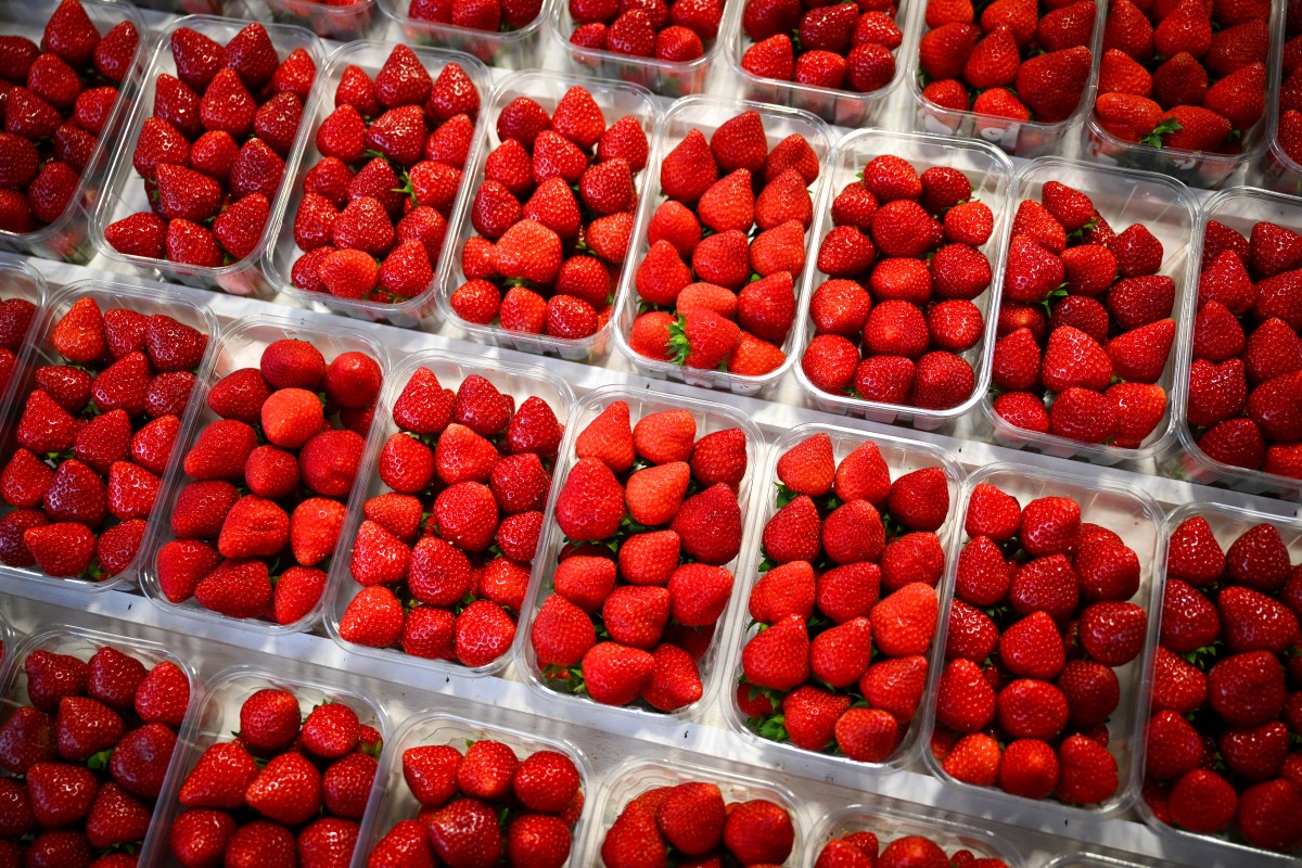 Fruit Recall Sparks Highest Consumer Risk  Warning