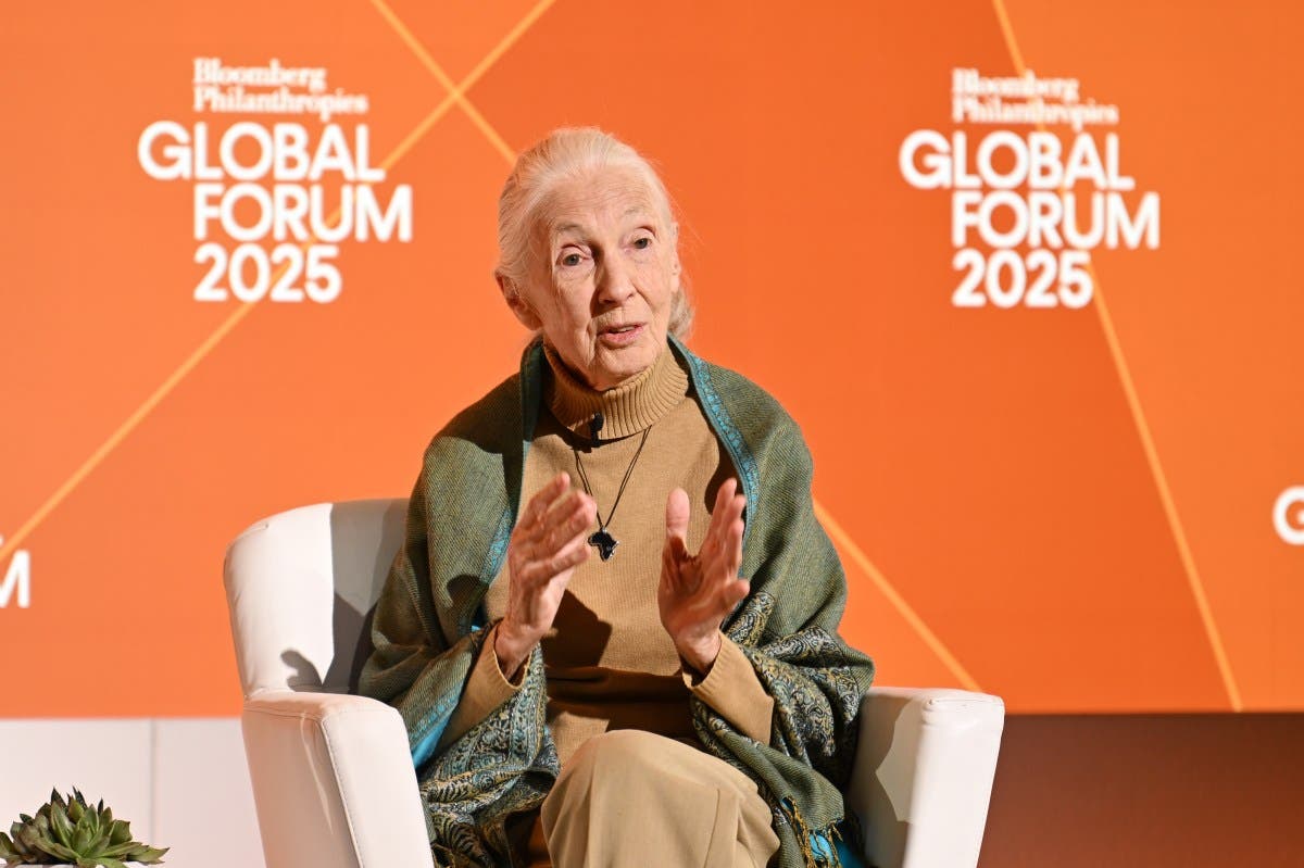 Conservationist Jane Goodall Dead at 91 While on U.S. Speaking Tour: Latest Updates