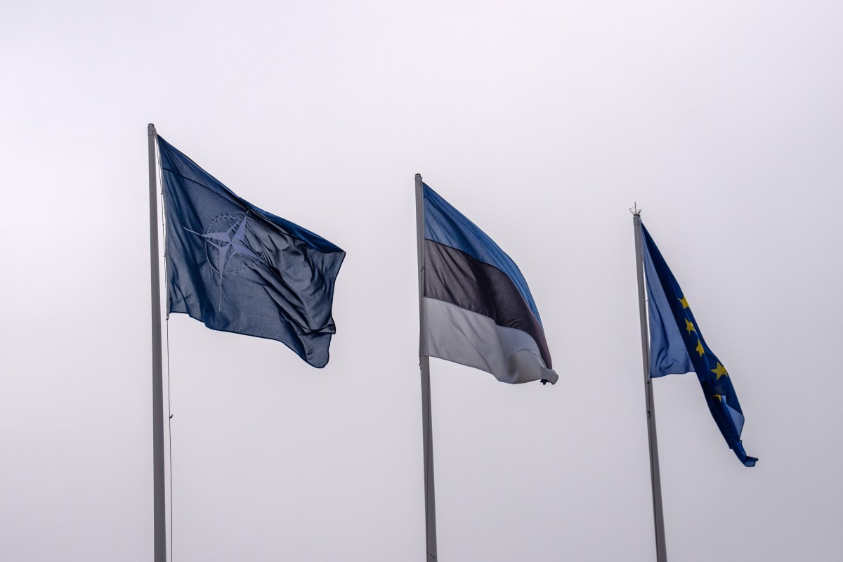 Russia Does Not Believe NATO Will Enact Article 5: Military Expert