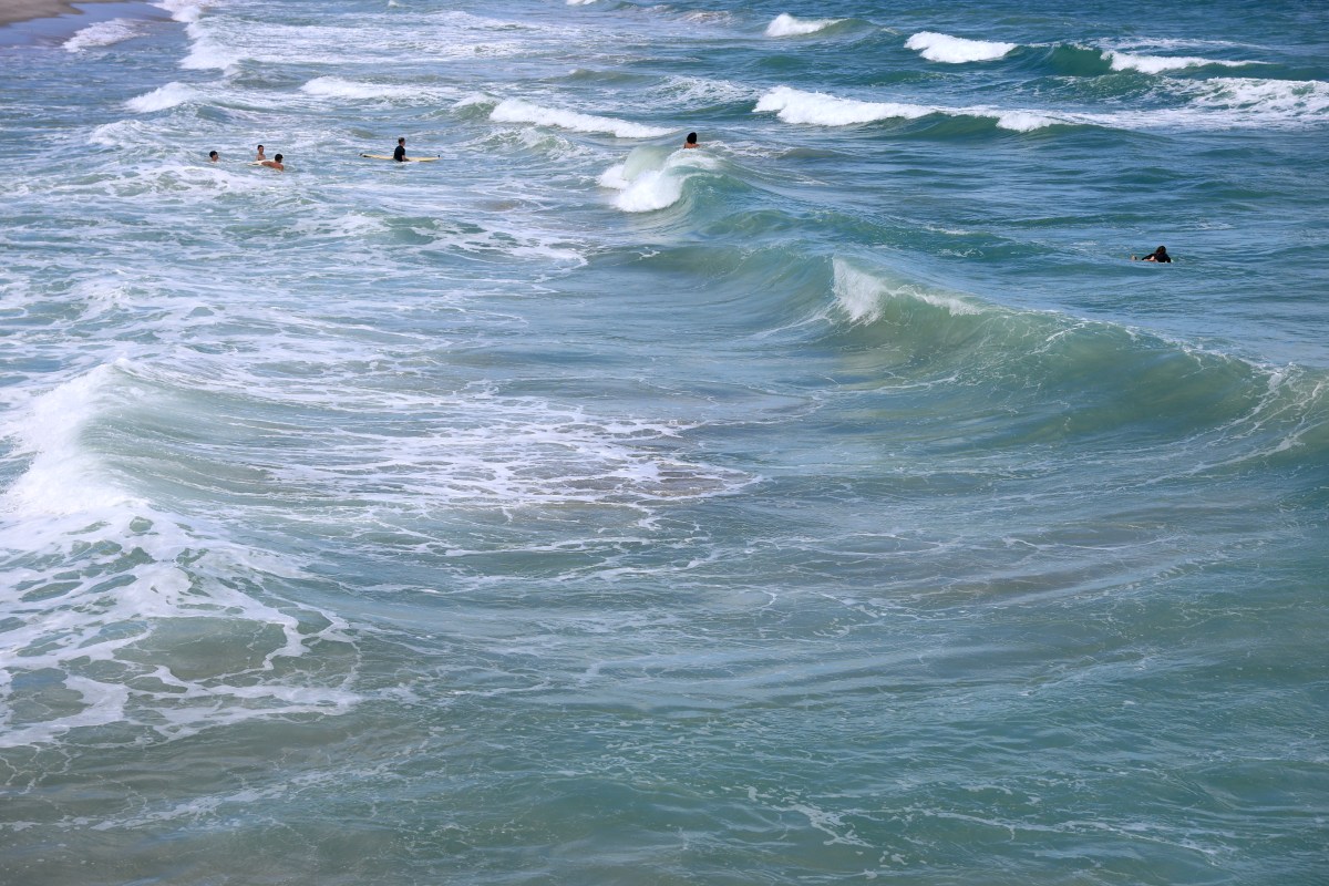 Millions in Florida Told to Stay Out of the Water