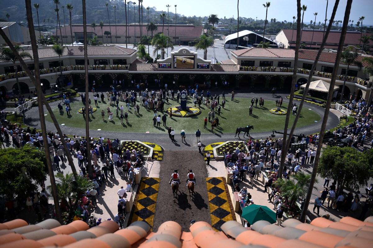 How to Watch Breeders' Cup World Championships: Live Stream, TV Channel