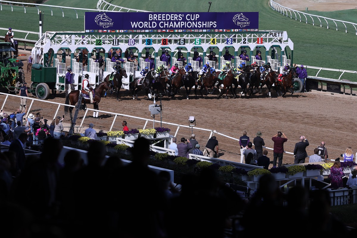 How to Watch Breeders' Cup 2025: Live Stream Horse Racing, TV Channel