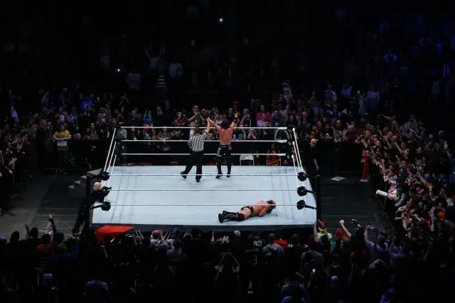 wwe wrestlemania revenge tour match in france