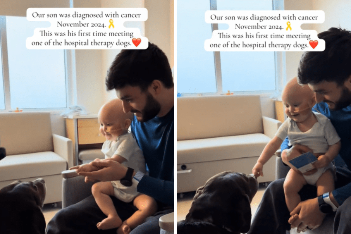 Baby With Cancer Meets Hospital's Therapy Dog—His Reaction Says It All