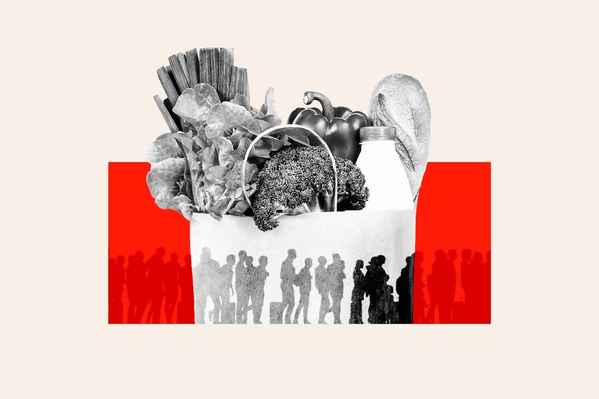 ¿Cuántos inmigrantes usan cupones de alimentos en Estados Unidos? Datos de beneficios de SNAP analizados ¿Cuántos inmigrantes usan cupones de alimentos en Estados Unidos? Datos de beneficios de SNAP analizados