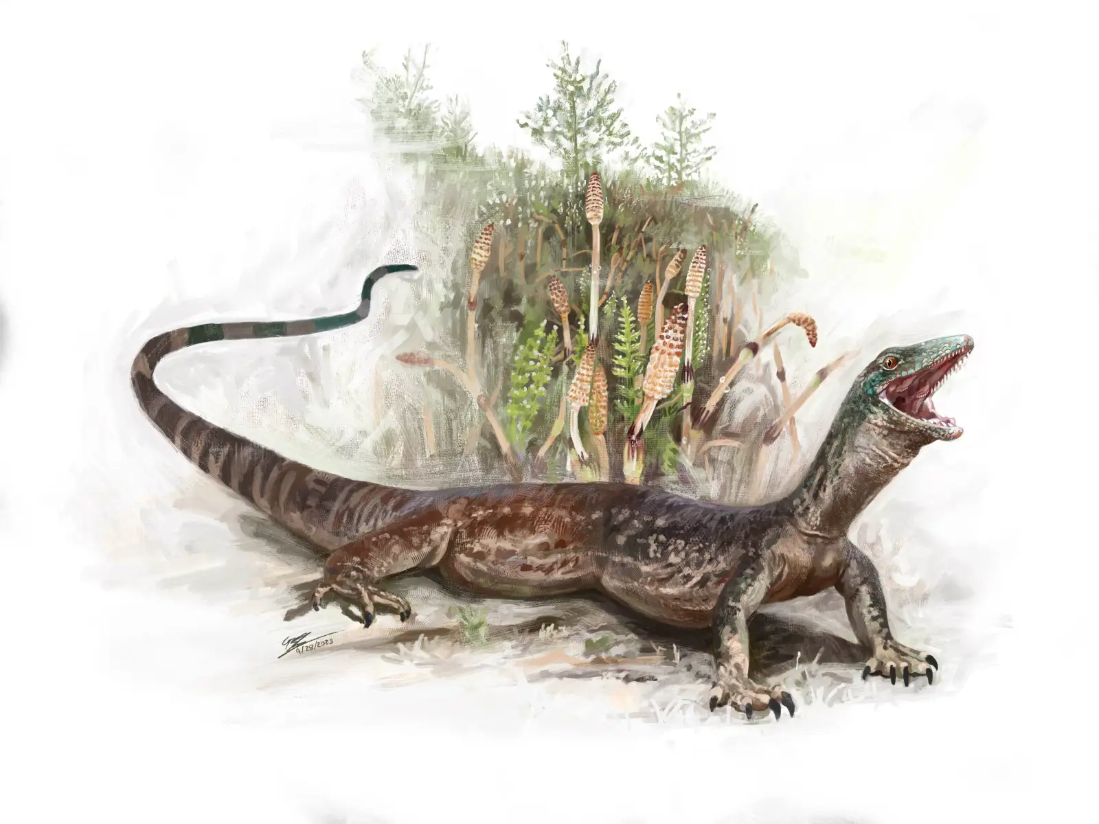 Jurassic lizard_Brennan Stokkermans