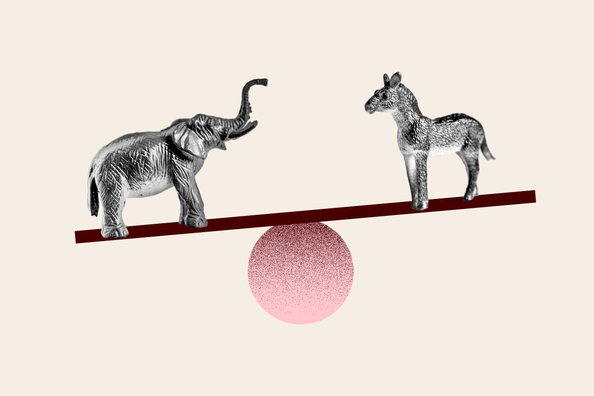 Polls Reveal Warning Signs for Democrats Ahead of Midterms