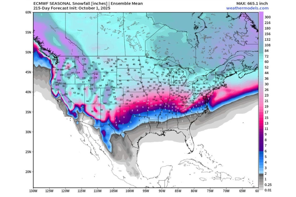 Map Shows How Much Snow Your State Could Get This Winter