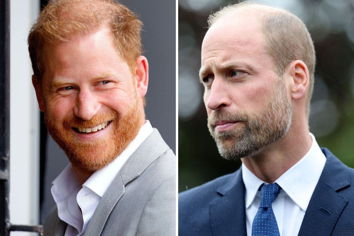 Prince William's Swipe at Press Practices Hints at Harry's Book